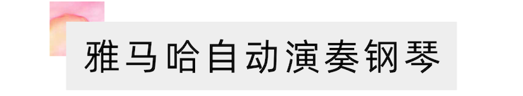 活动报道 | 远程艺术教育大师课活动—彩乐园艺术家赵宇大师课